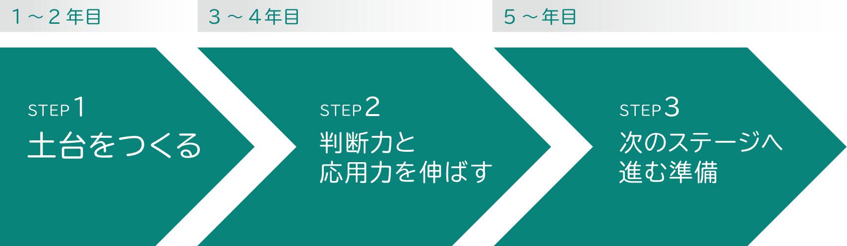 くわの接骨院でのキャリア形成イメージ